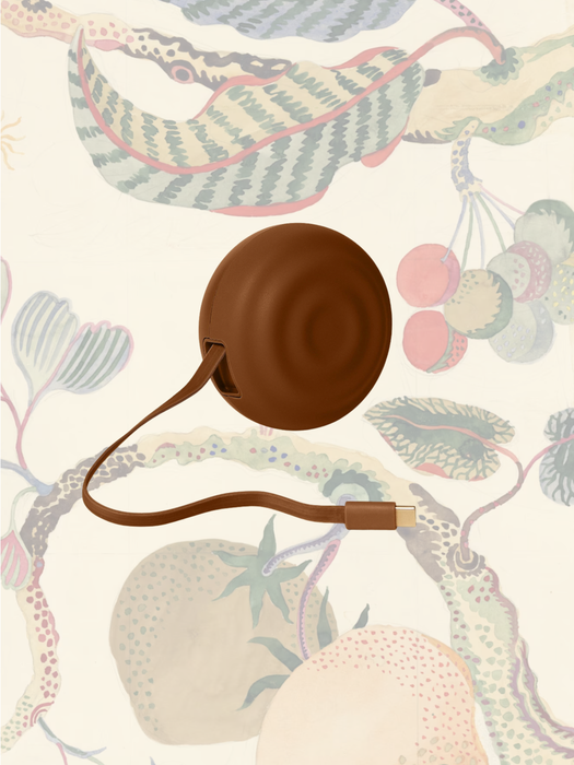 The Charger in Chocolate