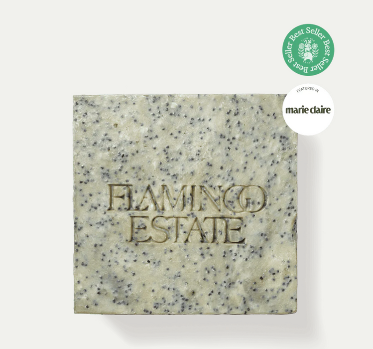Exfoliating Peppermint Soap Brick
